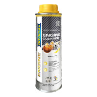 Промывка для двигателя RAVENOL Professional Engine Cleaner