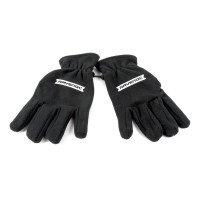 Перчатки зимние RAVENOL